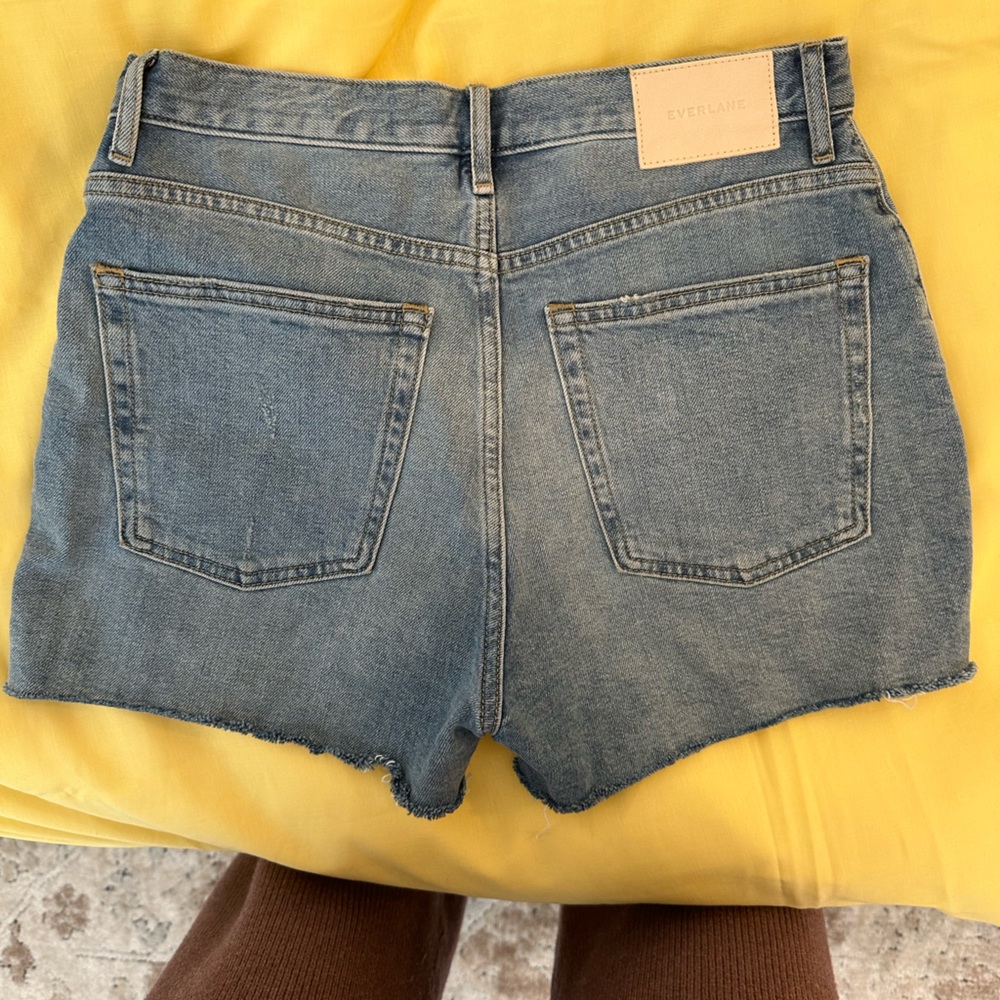 Everlane Cheeky Denim Short Distressed